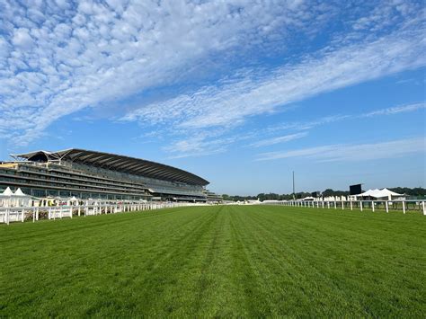 turftrax cheltenham|going at ascot today turftrax.